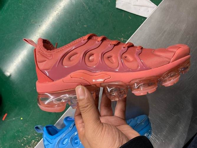 vapormax plus women's champs